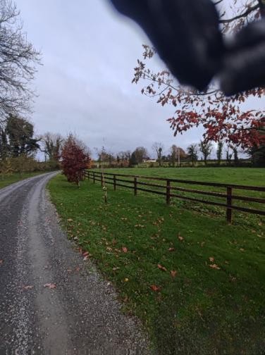 5 Bed House in Newport, Co. Tipperary