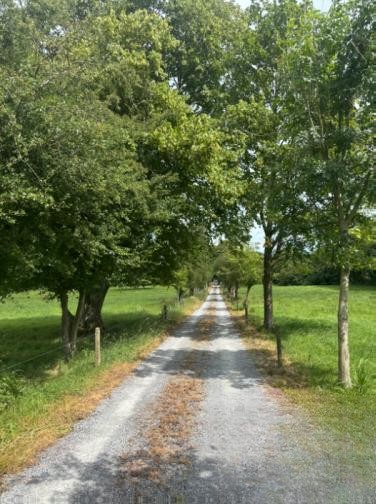 5 Bed Farmhouse in North Cork, Co. Cork