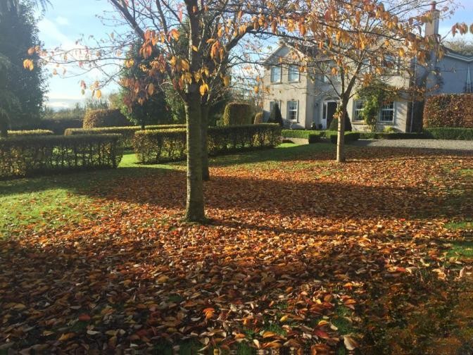 4 Bed Detached Home in Mins From Adare, Co. Limerick