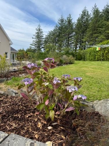 4 Bed House in Mountain View, Co. Clare