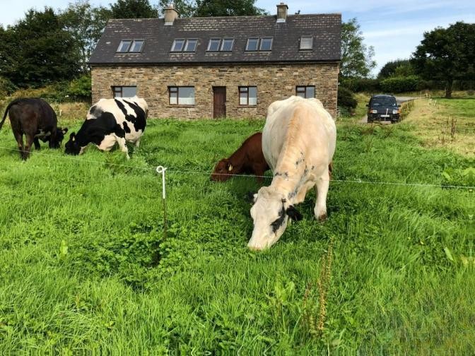 2 Bed Farmhouse in Mountcollins