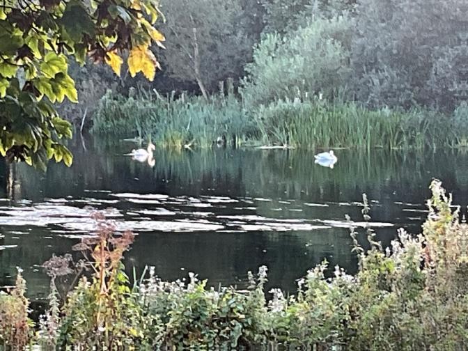 4 Bed House in Castleconnell, Co. Limerick