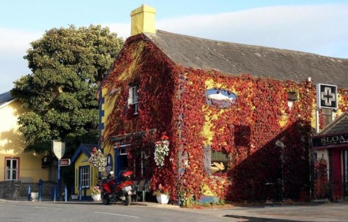 4 Bed Lodge in Castleconnell, Co. Limerick